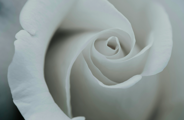 Screen Shot 2025-11-16 at 7.40.54 PM